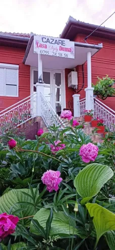 Casa DYDY DUMA