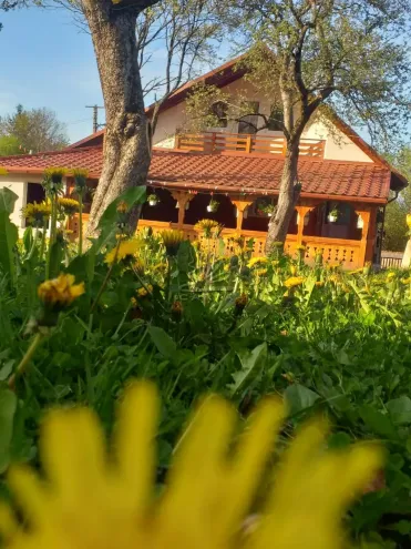 Casa ALINA